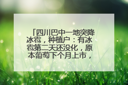 四川巴中一地突降冰雹，种植户：有冰雹第二天还没化，原本葡萄下个月上市，现在全被打落