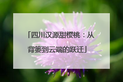四川汉源甜樱桃：从背篓到云端的跃迁
