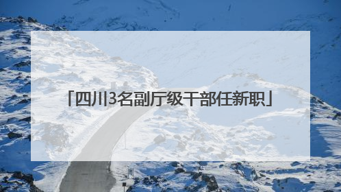 四川3名副厅级干部任新职