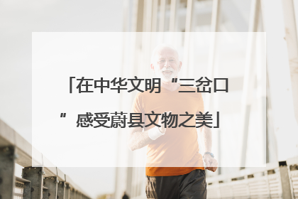 在中华文明“三岔口”感受蔚县文物之美