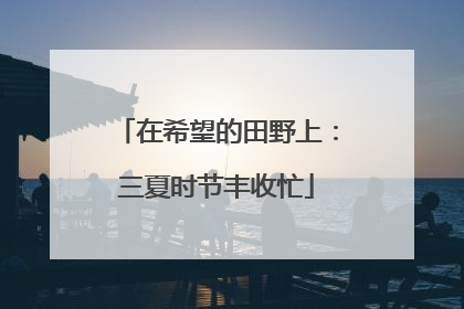 在希望的田野上：三夏时节丰收忙