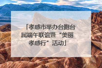 孝感市举办台胞台属端午联谊暨“美丽孝感行”活动