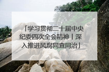 学习贯彻二十届中央纪委四次全会精神丨深入推进风腐同查同治