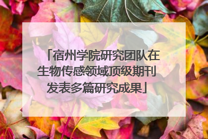 宿州学院研究团队在生物传感领域顶级期刊发表多篇研究成果