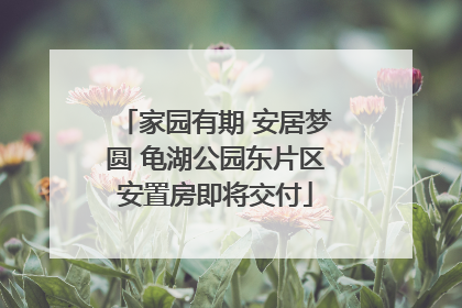 家园有期 安居梦圆 龟湖公园东片区安置房即将交付