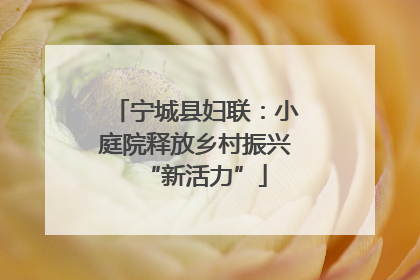 宁城县妇联：小庭院释放乡村振兴“新活力”