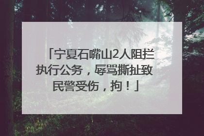 宁夏石嘴山2人阻拦执行公务，辱骂撕扯致民警受伤，拘！