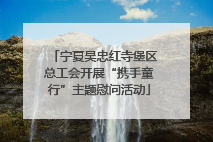 宁夏吴忠红寺堡区总工会开展“携手童行”主题慰问活动