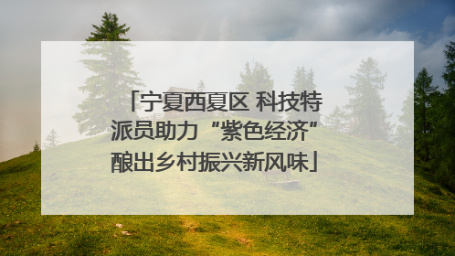 宁夏西夏区 科技特派员助力“紫色经济”酿出乡村振兴新风味