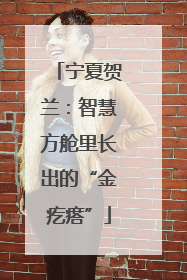 宁夏贺兰：智慧方舱里长出的“金疙瘩”