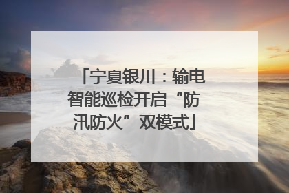 宁夏银川：输电智能巡检开启“防汛防火”双模式