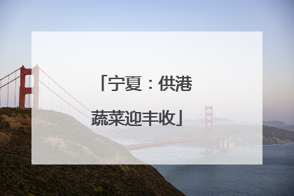 宁夏：供港蔬菜迎丰收