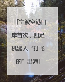宁波空港口岸首次，四足机器人“打飞的”出海