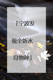 宁波发现全新水母物种