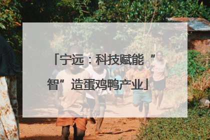 宁远：科技赋能“智”造蛋鸡鸭产业