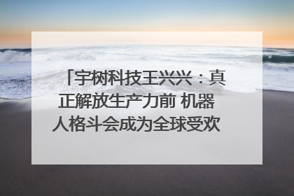 宇树科技王兴兴：真正解放生产力前 机器人格斗会成为全球受欢迎的赛事｜科技观察