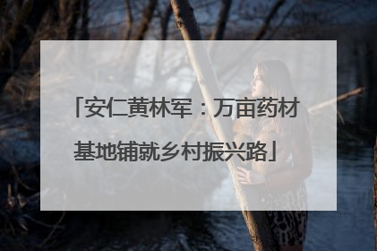 安仁黄林军：万亩药材基地铺就乡村振兴路