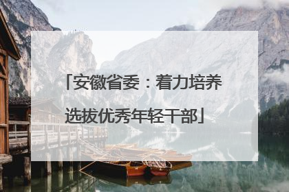 安徽省委：着力培养选拔优秀年轻干部