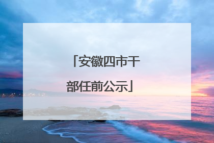 安徽四市干部任前公示