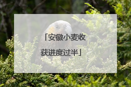 安徽小麦收获进度过半