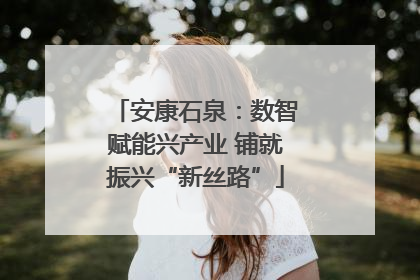 安康石泉：数智赋能兴产业 铺就振兴“新丝路”