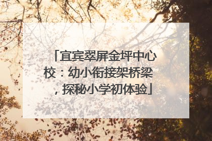 宜宾翠屏金坪中心校：幼小衔接架桥梁，探秘小学初体验