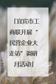 宜宾市工商联开展“民营企业大走访”调研月活动