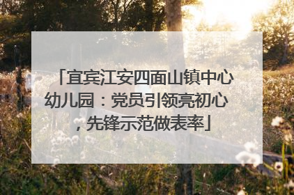宜宾江安四面山镇中心幼儿园：党员引领亮初心，先锋示范做表率
