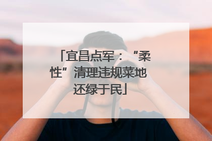宜昌点军：“柔性”清理违规菜地 还绿于民