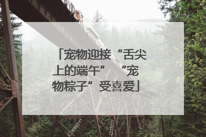 宠物迎接“舌尖上的端午” “宠物粽子”受喜爱