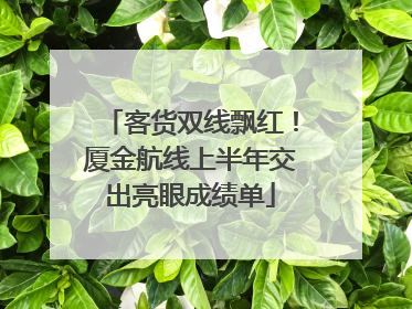 客货双线飘红！厦金航线上半年交出亮眼成绩单