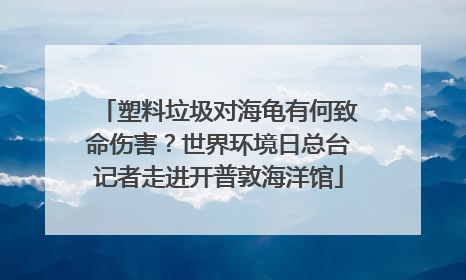 塑料垃圾对海龟有何致命伤害？世界环境日总台记者走进开普敦海洋馆