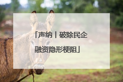 声纳丨破除民企融资隐形梗阻