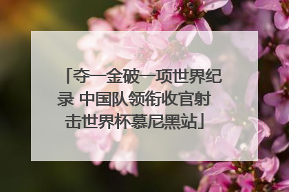 夺一金破一项世界纪录 中国队领衔收官射击世界杯慕尼黑站