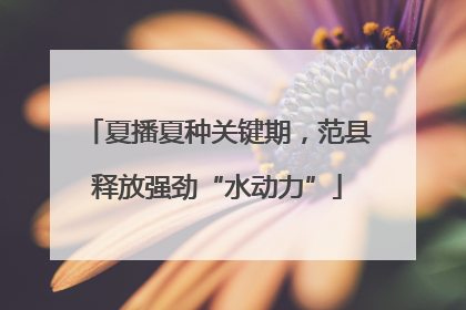 夏播夏种关键期，范县释放强劲“水动力”