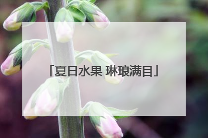 夏日水果 琳琅满目