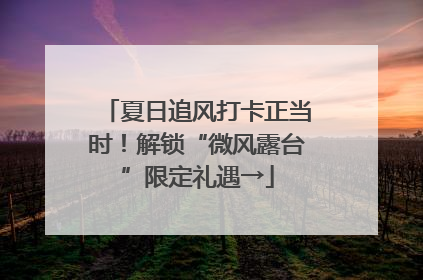 夏日追风打卡正当时！解锁“微风露台”限定礼遇→