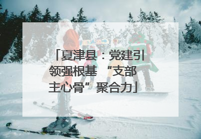 夏津县：党建引领强根基 “支部主心骨”聚合力