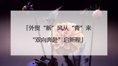 外贸“新”风从“青”来 “双向奔赴”启新程