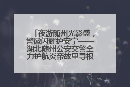 夜游随州光影盛，警徽闪耀护安宁——湖北随州公安交警全力护航炎帝故里寻根节夜游活动侧记
