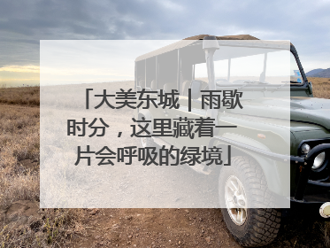 大美东城｜雨歇时分，这里藏着一片会呼吸的绿境