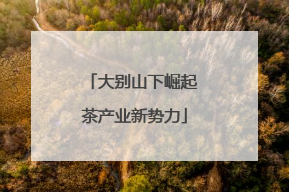 大别山下崛起茶产业新势力
