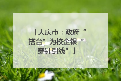 大庆市：政府“搭台”为校企银“穿针引线”