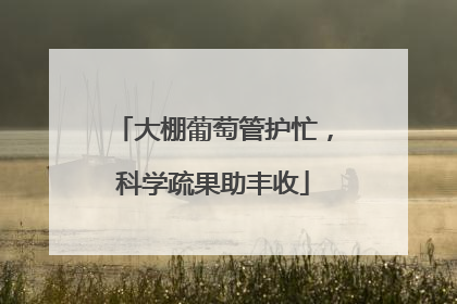 大棚葡萄管护忙，科学疏果助丰收