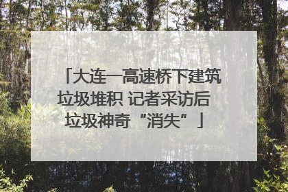 大连一高速桥下建筑垃圾堆积 记者采访后垃圾神奇“消失”