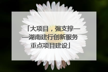 大项目，强支撑——湖南建行创新服务重点项目建设