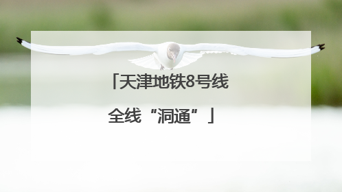 天津地铁8号线全线“洞通”