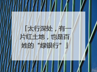 太行深处，有一片红土地，也是百姓的“绿银行”