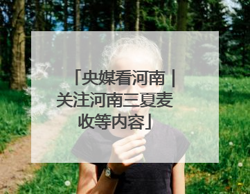 央媒看河南｜关注河南三夏麦收等内容