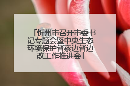 忻州市召开市委书记专题会暨中央生态环境保护督察边督边改工作推进会